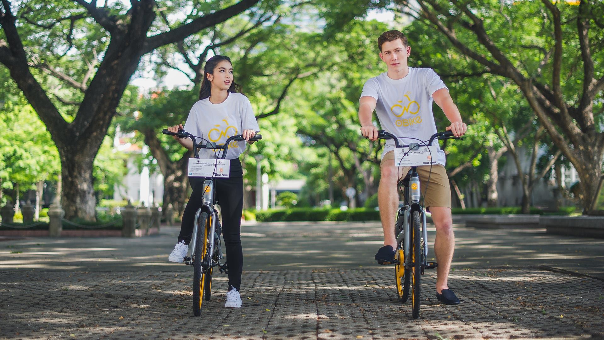 環(huán)保又健康的OBIKE共享自行車